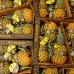 Pineapple Gold