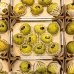 Cherimoya