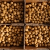 Longan