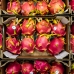 Dragon Fruit