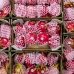 Red Dragon Fruit