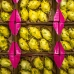 Golden Dragon Fruit