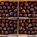Salak Snake Fruit