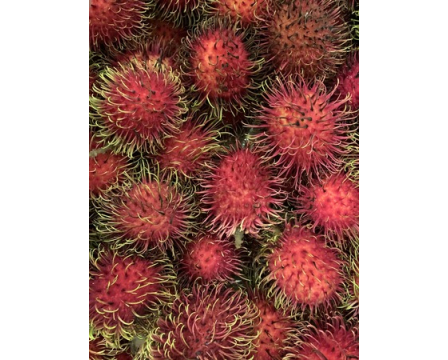 Rambutan: The royal fruit of the tropics