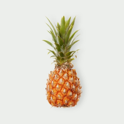 Baby Pineapple