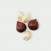 Salak Snake Fruit
