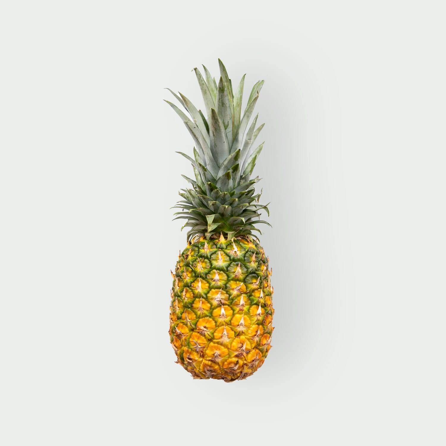 Pineapple Gold