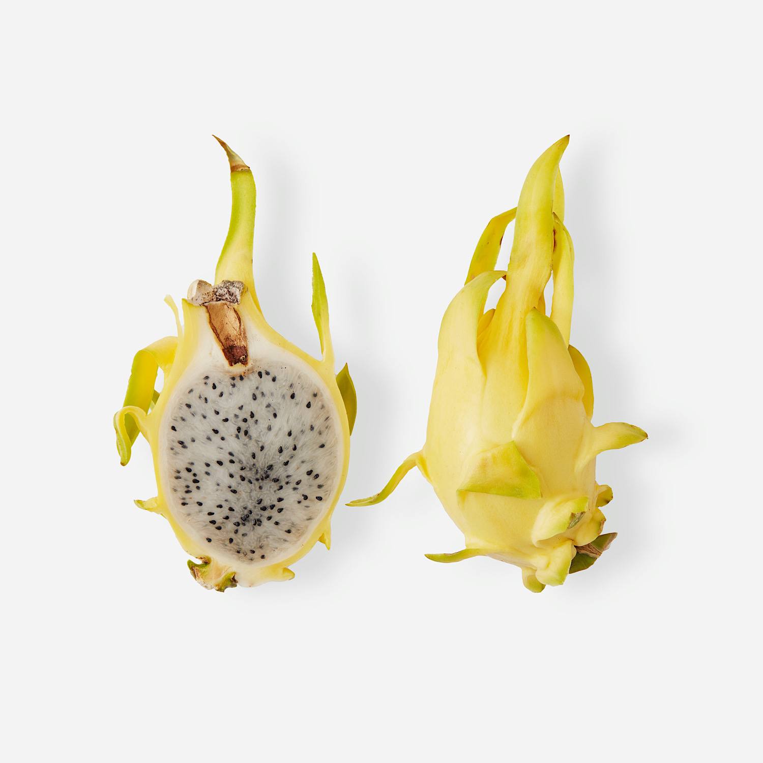Golden Dragon Fruit